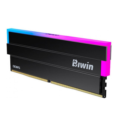 Biwin Black Opal RGB DW100 48GB DDR5 (2x24GB) 6000MHz CL28