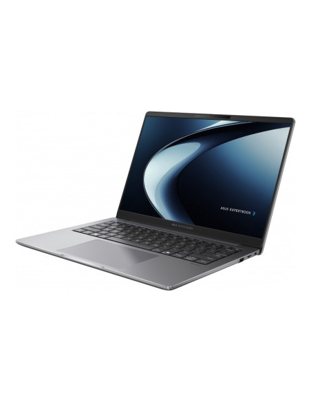 Asus ExpertBook P3 PM3406CKA-NZ0330 Ryzen AI 5 330 32GB RAM 1TB SSD