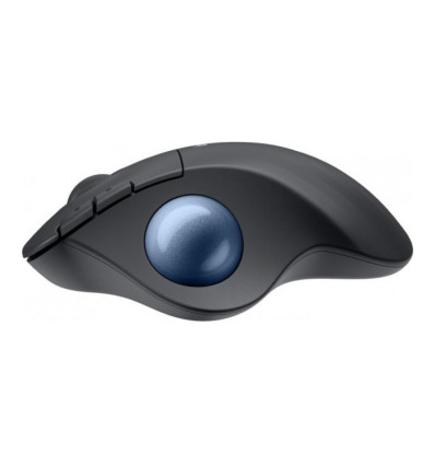 Ratón inalámbrico Logitech Ergo Series M575S