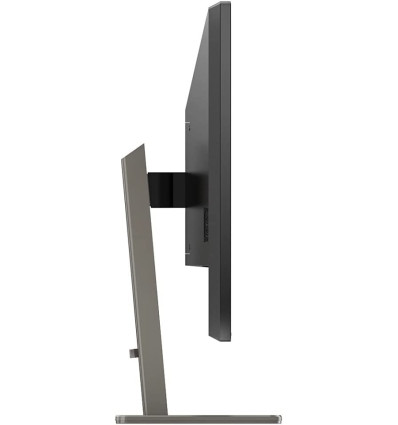 Monitor Philips P Line 439P1/00 43" UHD 4K