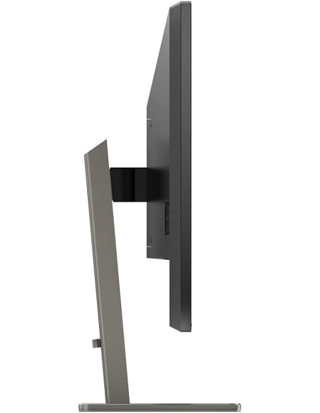 Monitor Philips P Line 439P1/00 43" UHD 4K