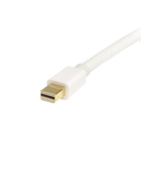 Startech Mini DISPLAYPORT 1.2 A DISPLAYPORT - Comprar Cable de Vídeo