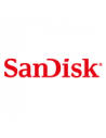 Sandisk